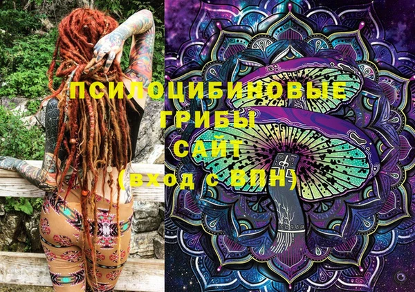 круглые Абаза