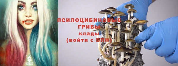 круглые Абаза