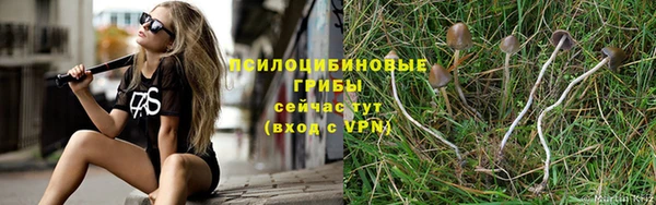 ешки Елизово