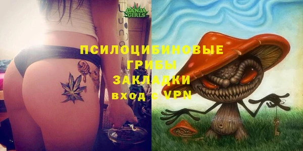ALPHA PVP Аркадак