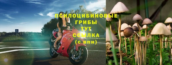 круглые Абаза