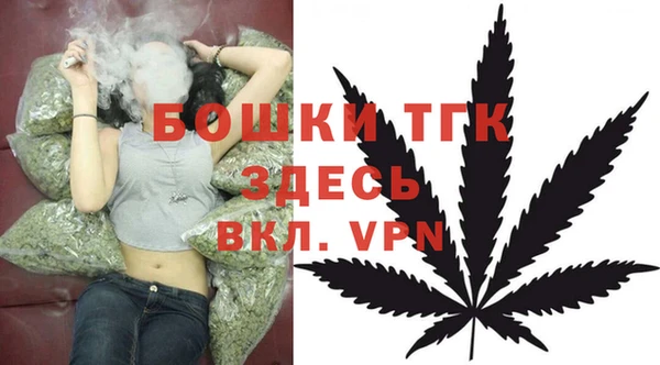 мет Елабуга