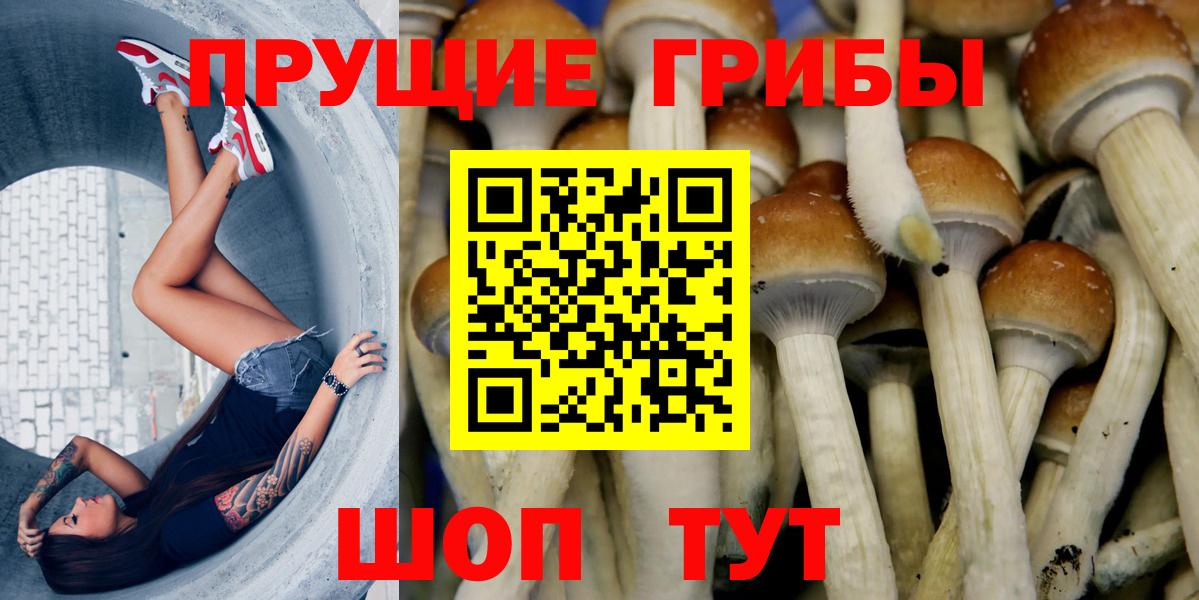 Псилоцибиновые грибы ЛСД Подольск