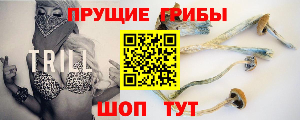 Псилоцибиновые грибы MAGIC MUSHROOMS  Вход с VPN  купить  цена  Подольск 